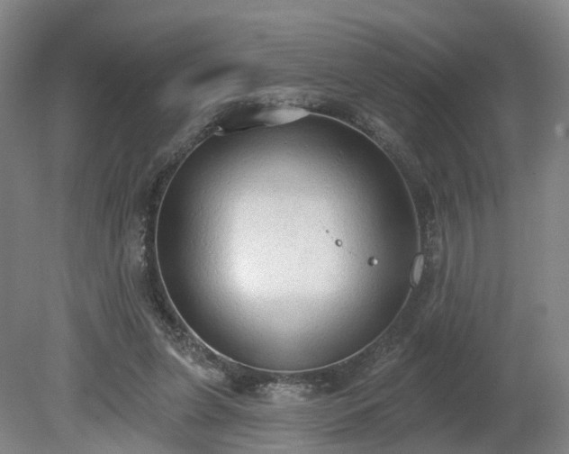 X0000081280255200701181750