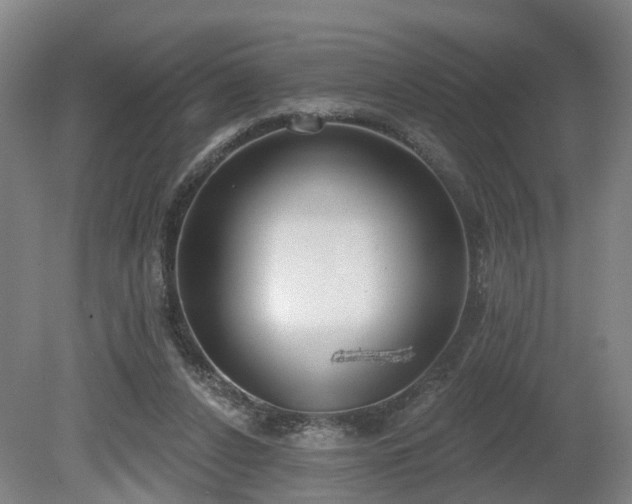 X0000081280256200701181750