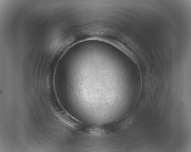 X0000081280258200701181750