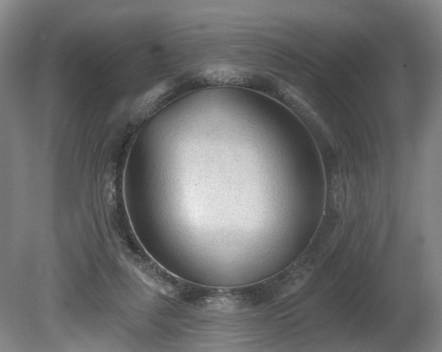 X0000081280259200701181750