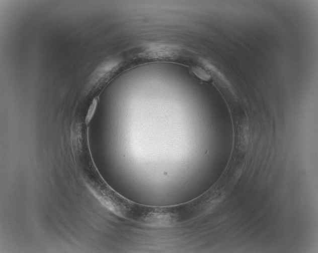 X0000081280260200701181750