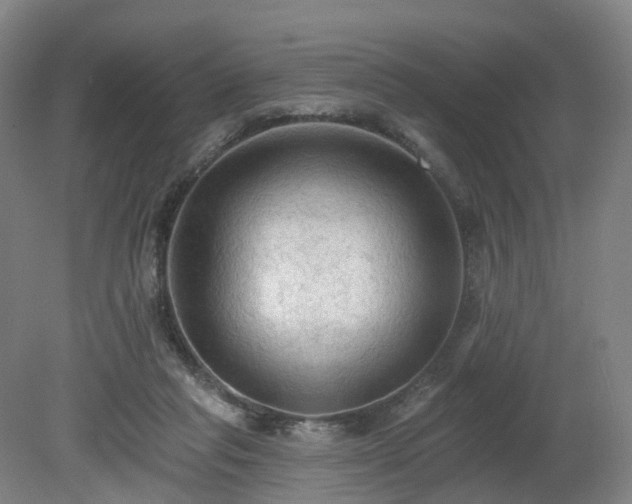 X0000081280261200701181750