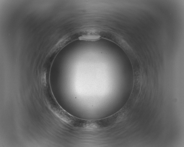 X0000081280262200701181750