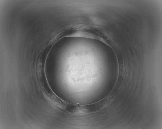 X0000081280263200701181750