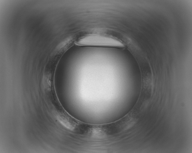 X0000081280264200701181750