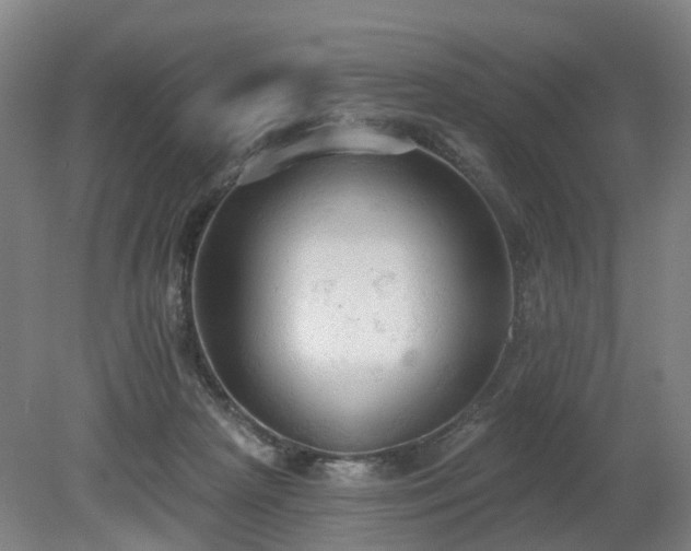 X0000081280265200701181751