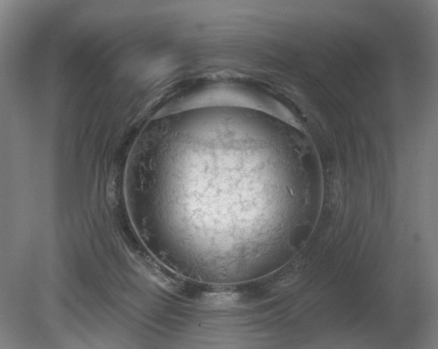 X0000081280266200701181751