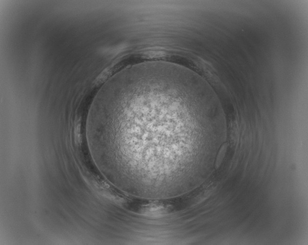 X0000081280267200701181751