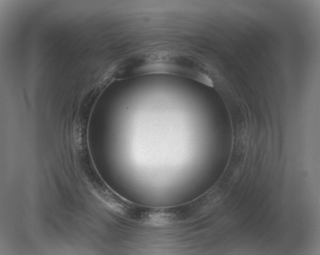 X0000081280268200701181751