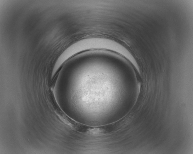 X0000081280269200701181751