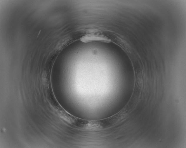 X0000081280270200701181751