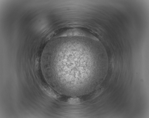 X0000081280271200701181751