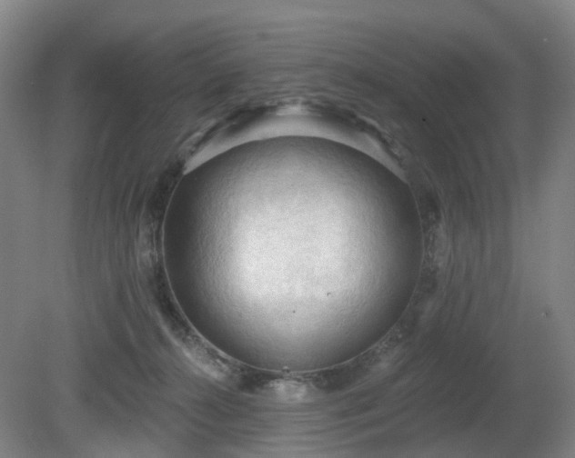 X0000081280272200701181751