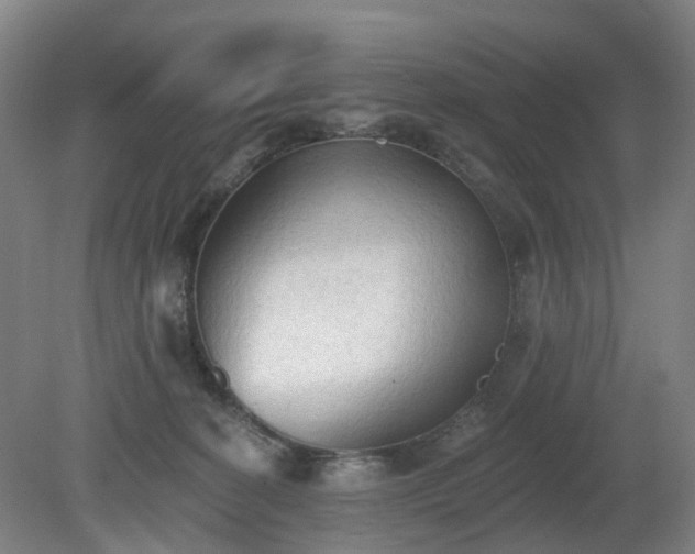 X0000081280274200701181751