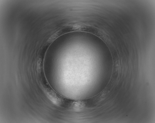 X0000081280275200701181751