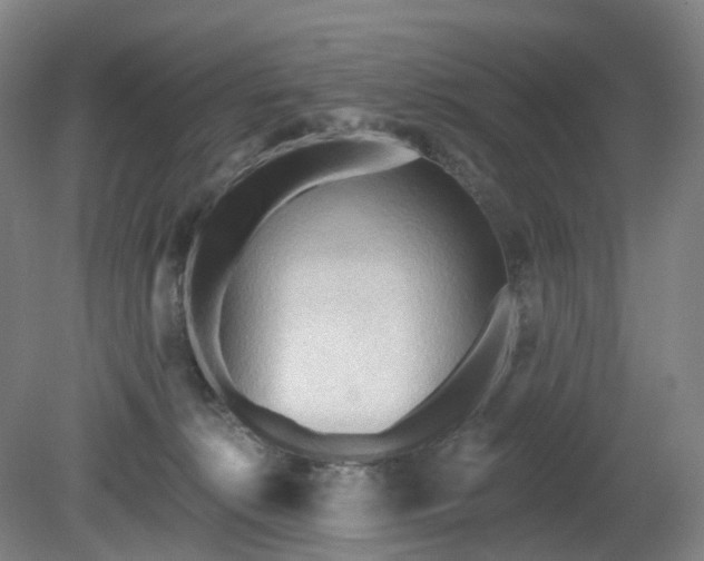 X0000081280276200701181751