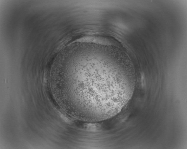 X0000081280277200701181751