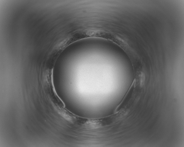 X0000081280280200701181751