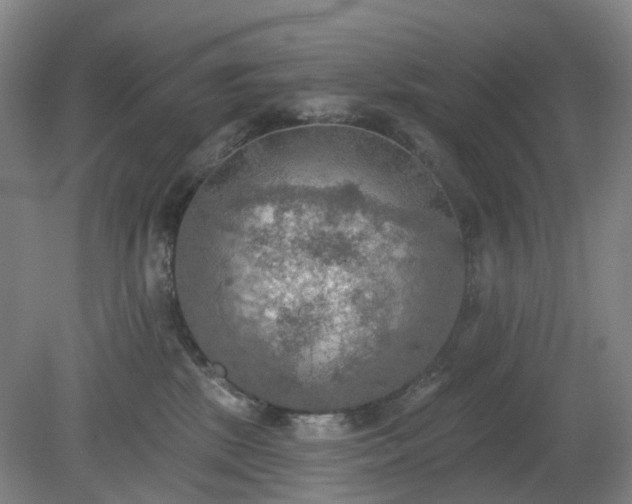 X0000081280281200701181751