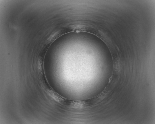 X0000081280282200701181751