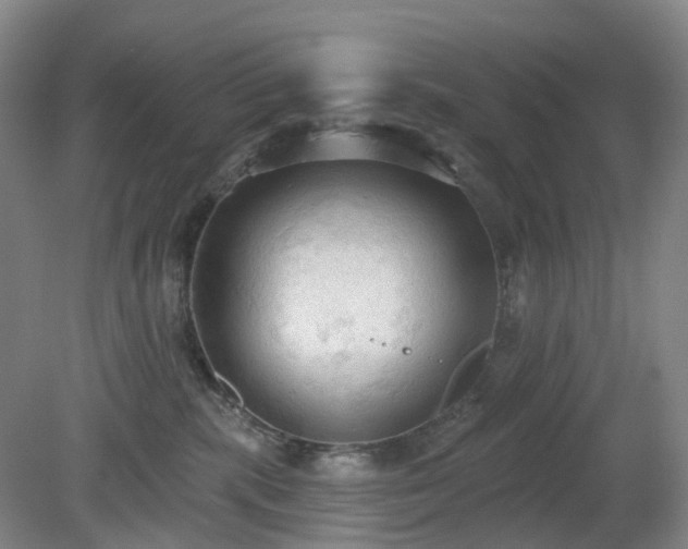 X0000081280283200701181751