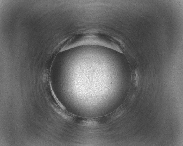 X0000081280284200701181751