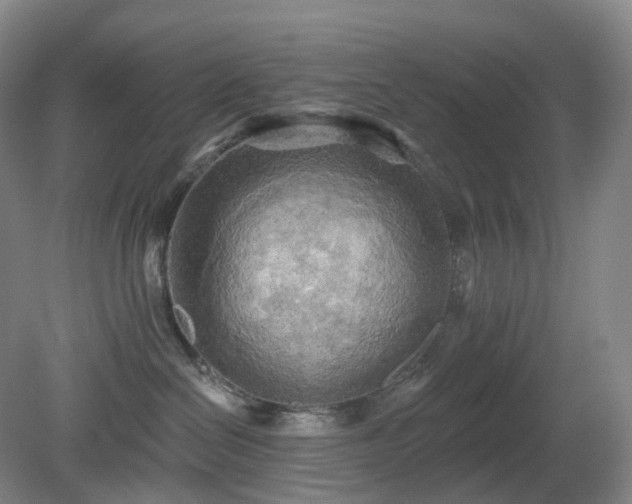 X0000081280286200701181751