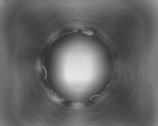 X0000081280287200701181751