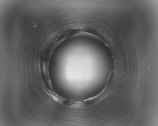 X0000081280288200701181751