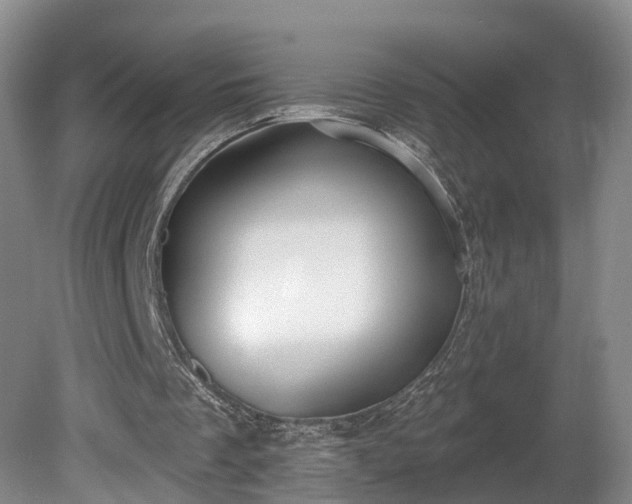 X0000081280289200701181750