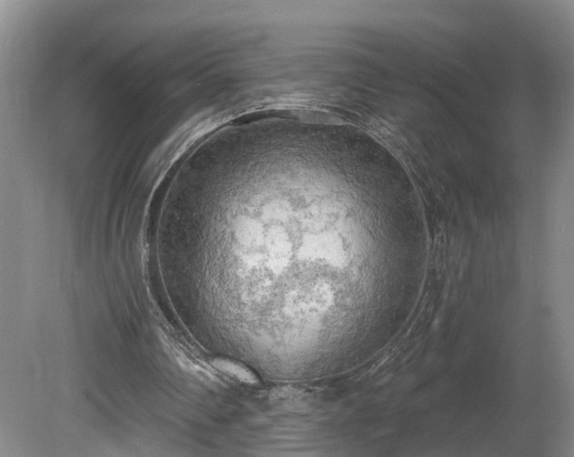 X0000081280290200701181750