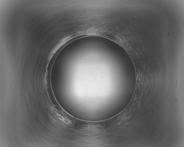 X0000081280292200701181750