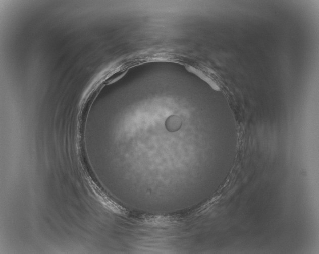 X0000081280293200701181750