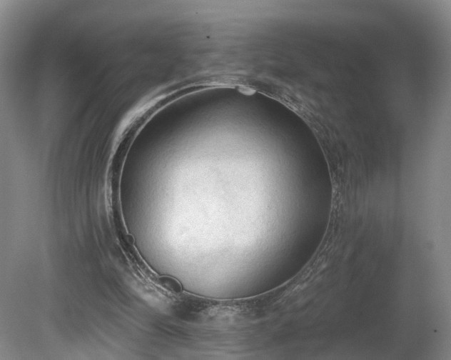 X0000081280294200701181750