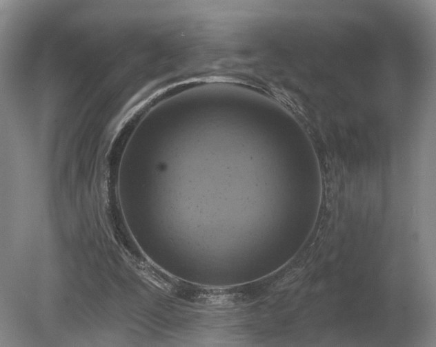 X0000081280295200701181750