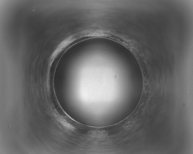 X0000081280296200701181750