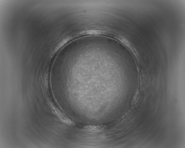 X0000081280297200701181750