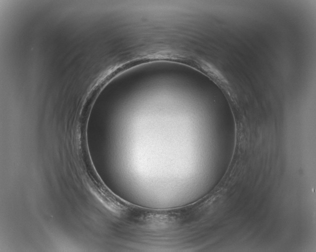 X0000081280298200701181750