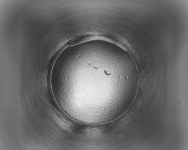 X0000081280299200701181750