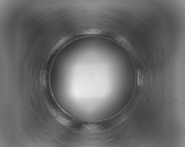 X0000081280300200701181750