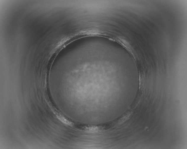 X0000081280301200701181750