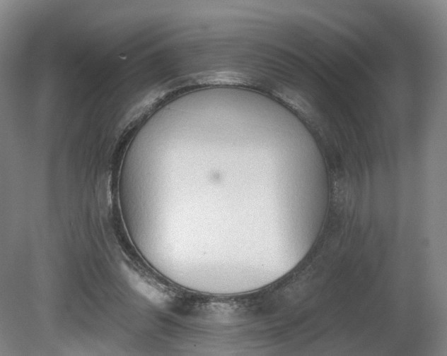 X0000081280302200701181750