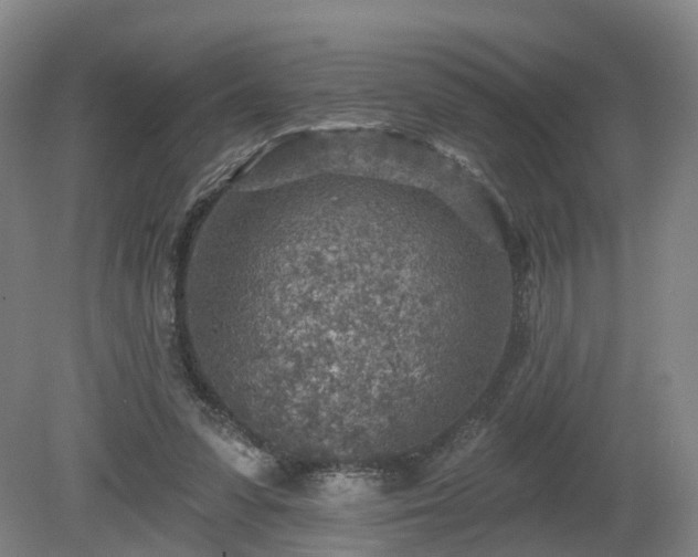 X0000081280303200701181750