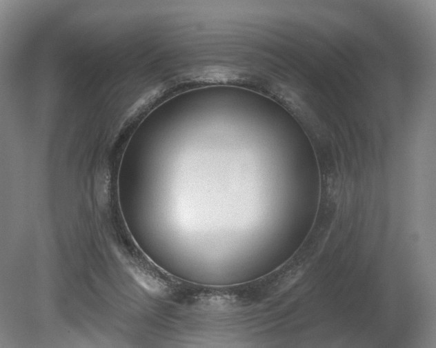 X0000081280304200701181750