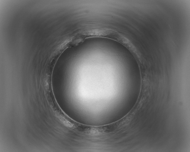 X0000081280305200701181750