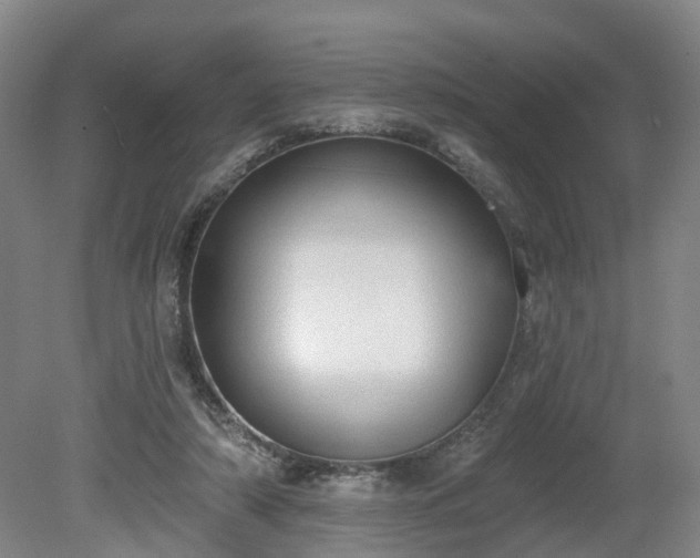 X0000081280306200701181750