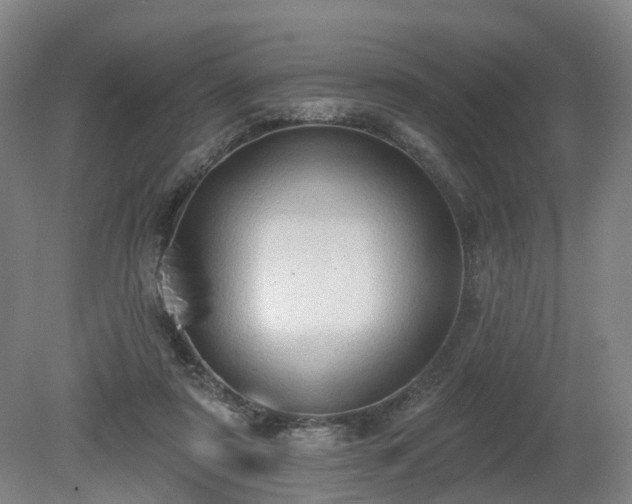 X0000081280307200701181750