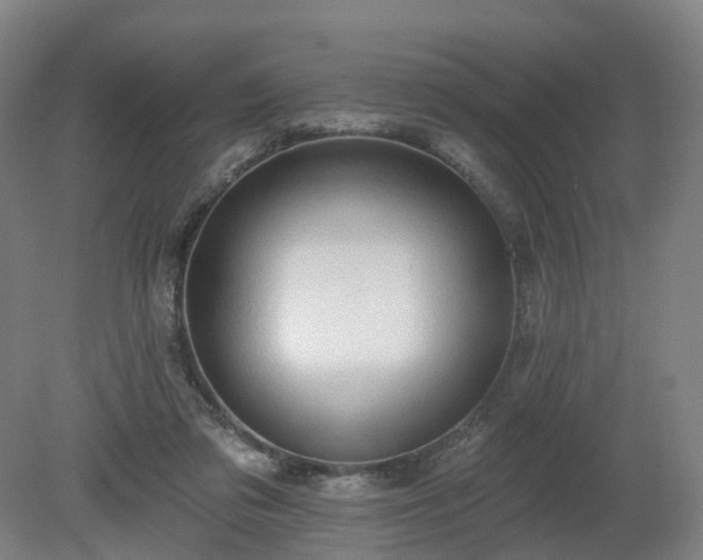 X0000081280309200701181750