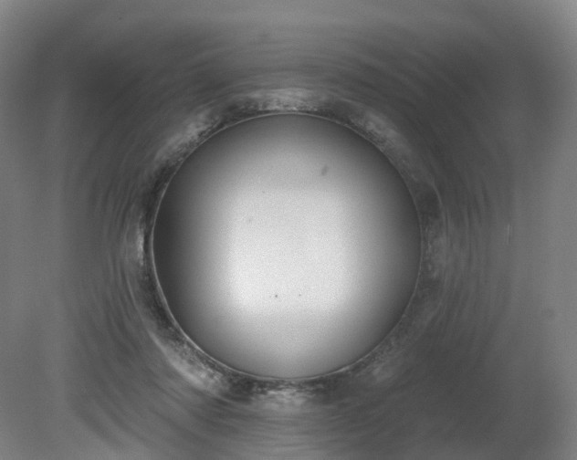 X0000081280310200701181750