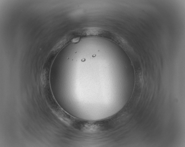 X0000081280311200701181750